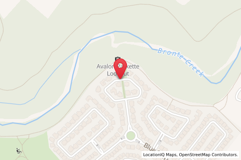 100 Avalon Drive,Nawton,Hamilton,Waukato,